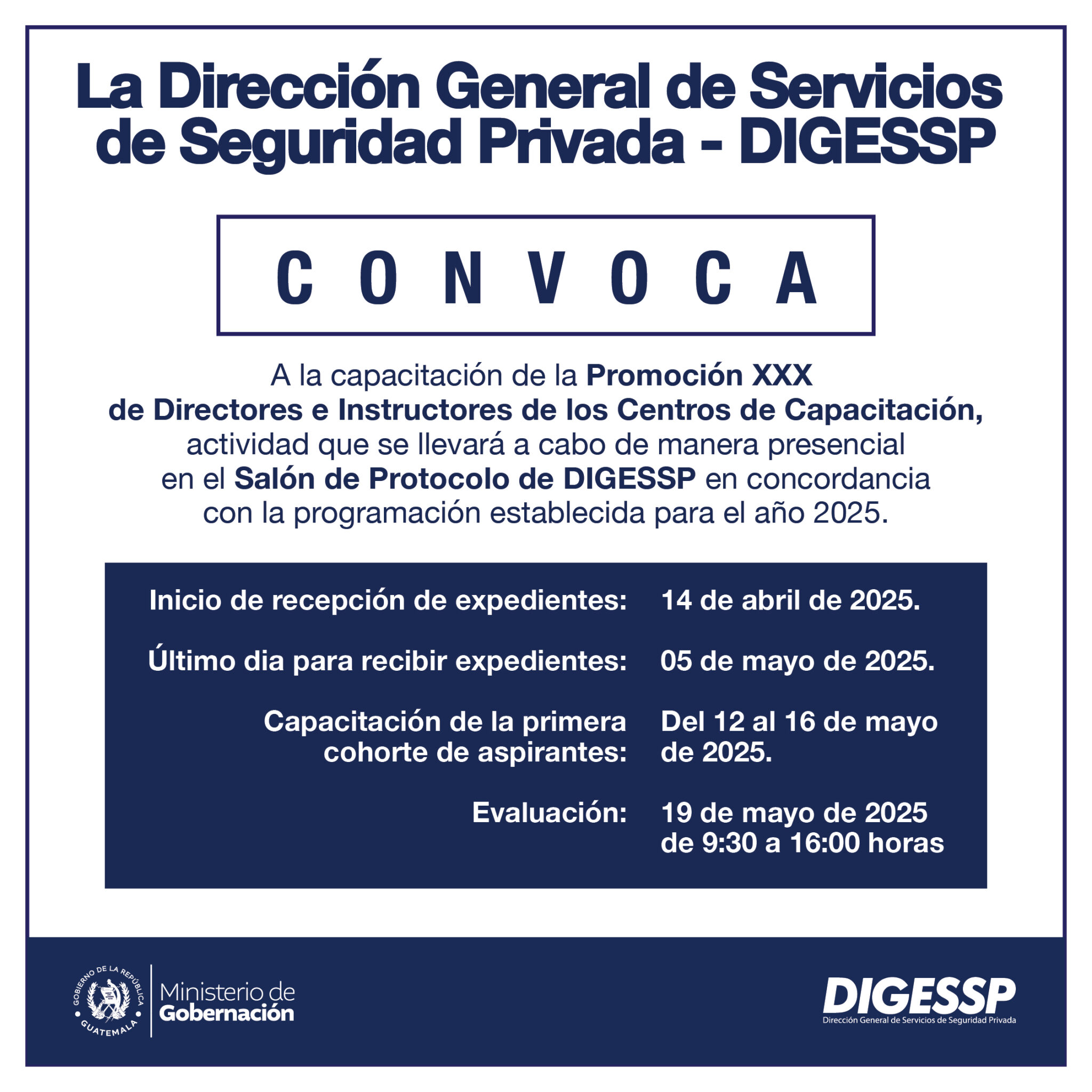 Digessp Logo Dirección General de Servicios de Seguridad Privada